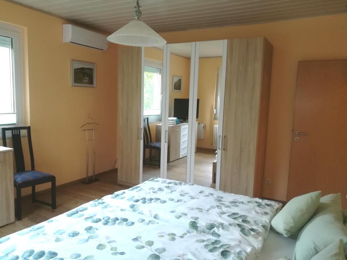 Nichtraucherferienwohnung-Neckarblick Ze-2022-74-Wz-118A Хайдельберг Экстерьер фото