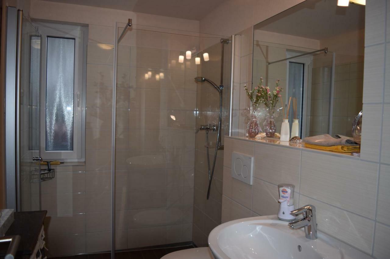 Nichtraucherferienwohnung-Neckarblick Ze-2022-74-Wz-118A Хайдельберг Экстерьер фото