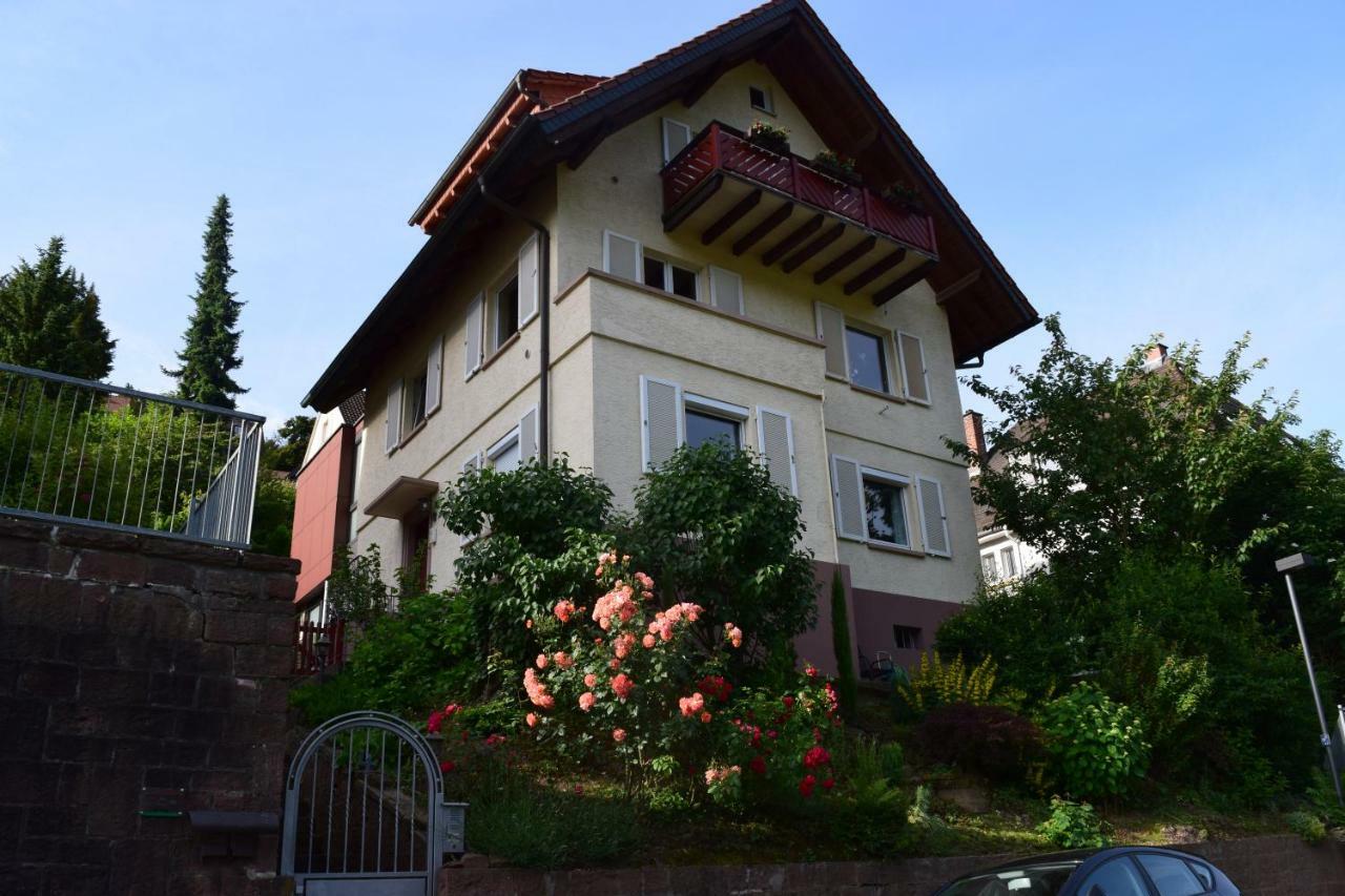 Nichtraucherferienwohnung-Neckarblick Ze-2022-74-Wz-118A Хайдельберг Экстерьер фото