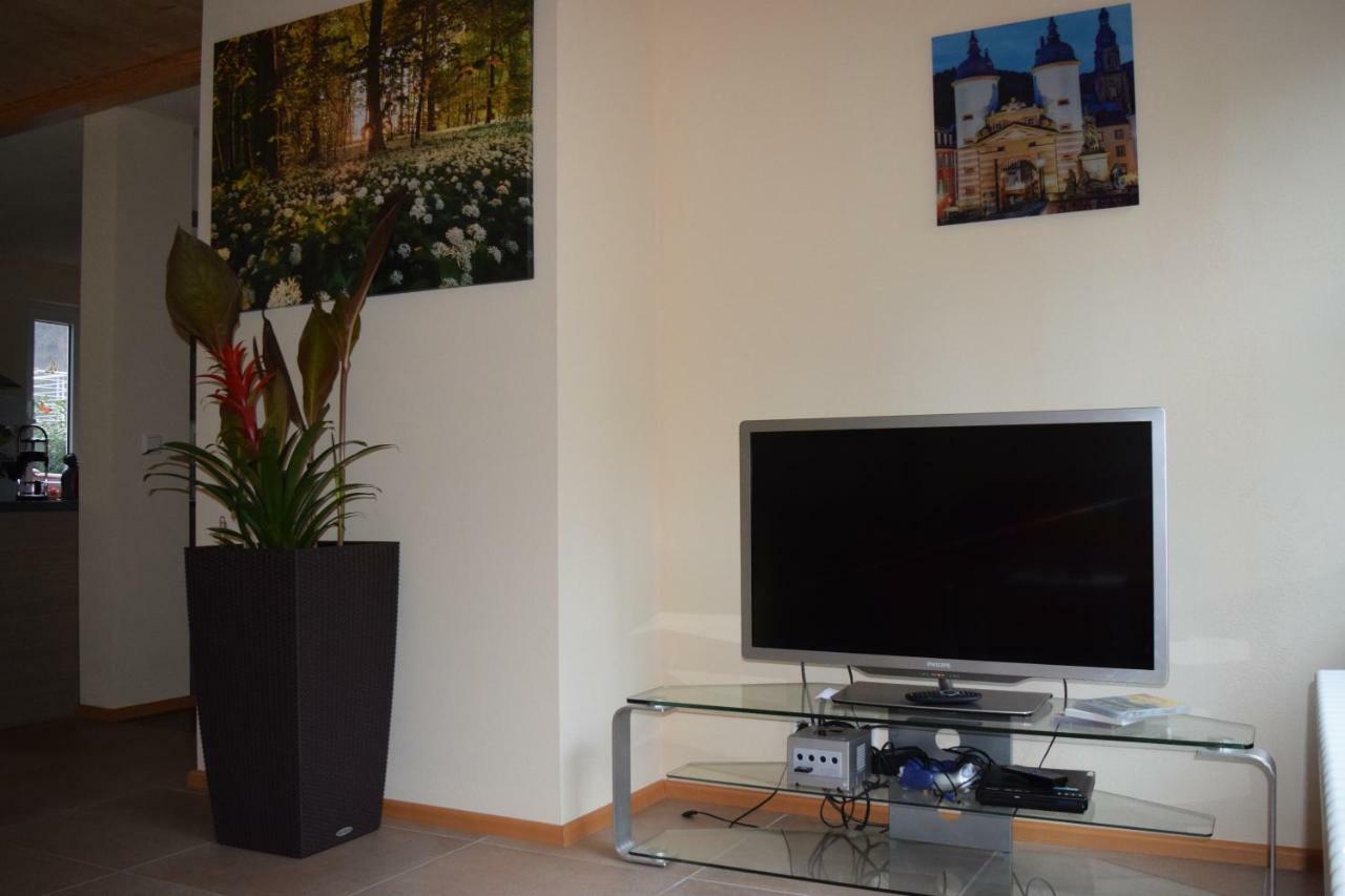 Nichtraucherferienwohnung-Neckarblick Ze-2022-74-Wz-118A Хайдельберг Экстерьер фото