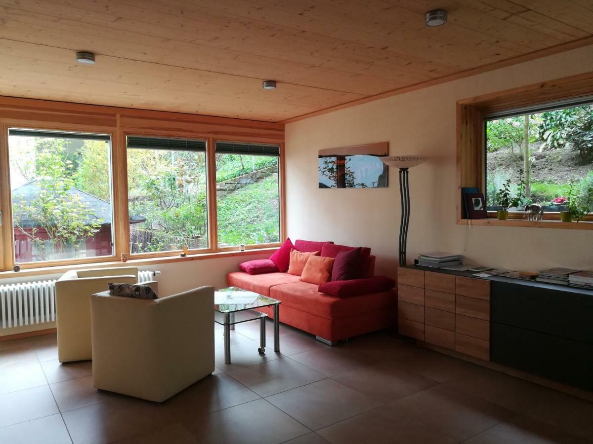 Nichtraucherferienwohnung-Neckarblick Ze-2022-74-Wz-118A Хайдельберг Экстерьер фото